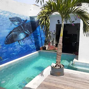 Pensión Coralite, Santa Marta (Magdalena)